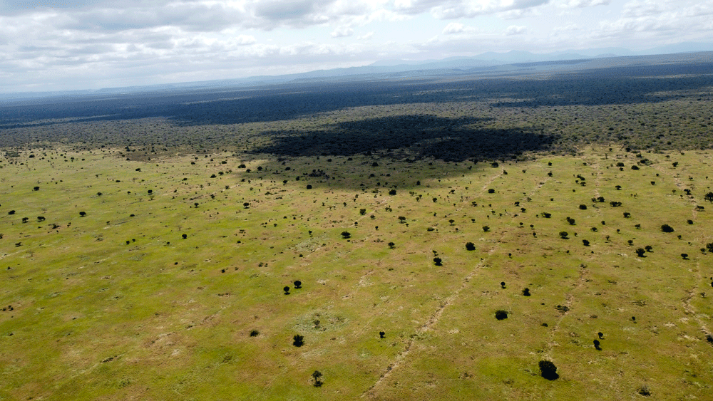 Reviving Nature and Livelihoods: The Borana-Marsabit Transboundary Landscape Project