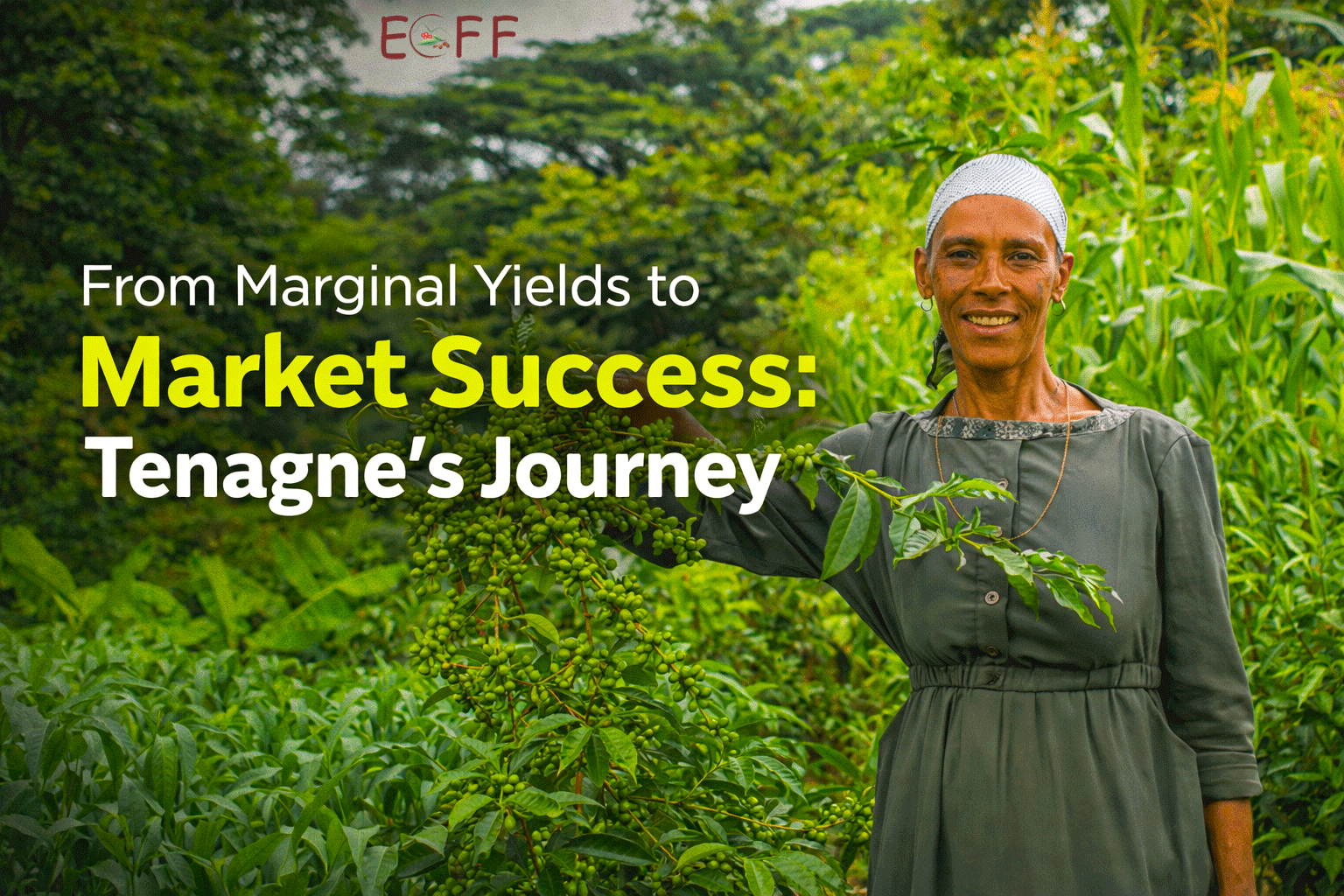 From Marginal Yields to Market Success: Tenagne's Journey