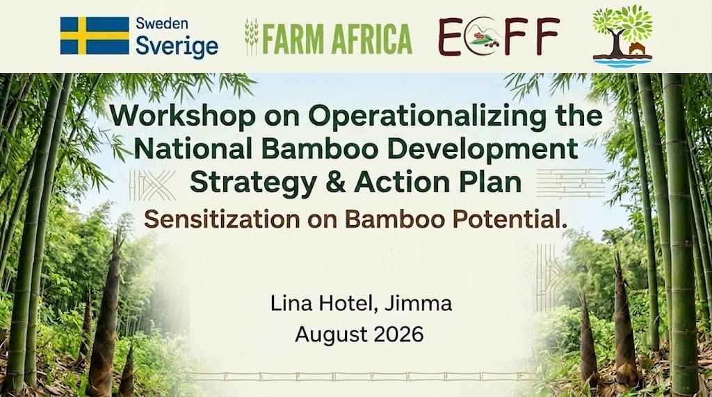 Advancing Bamboo Development: A Two-Day Regional Consultation in Jimma